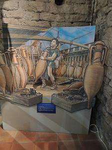 2024 11 02 EN FLANANT SUR SANARY (74)